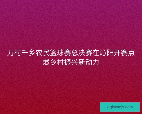 万村千乡农民篮球赛总决赛在沁阳开赛点燃乡村振兴新动力