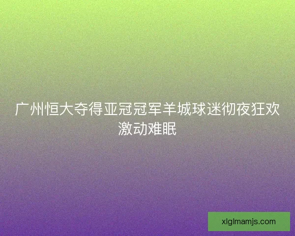 广州恒大夺得亚冠冠军羊城球迷彻夜狂欢激动难眠