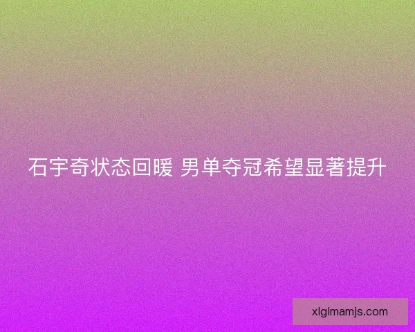 石宇奇状态回暖 男单夺冠希望显著提升