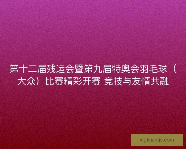 第十二届残运会暨第九届特奥会羽毛球（大众）比赛精彩开赛 竞技与友情共融