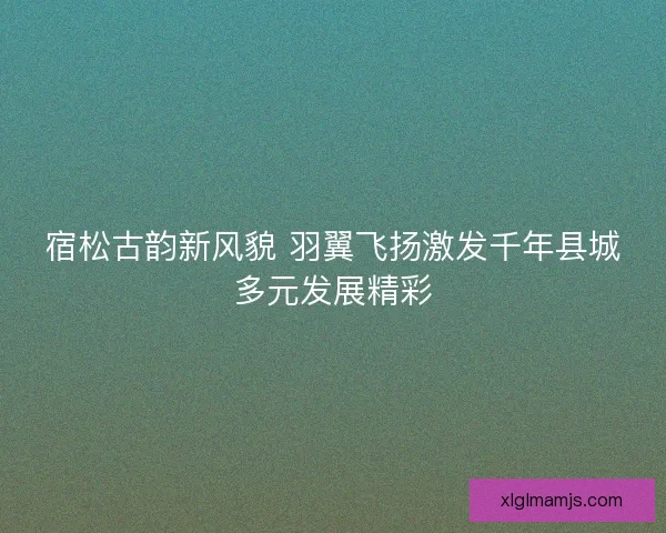 宿松古韵新风貌 羽翼飞扬激发千年县城多元发展精彩